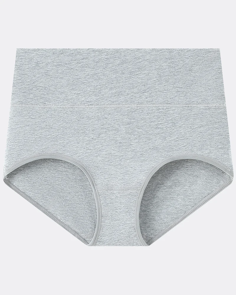 Women's Plus Size Cotton High Waisted Briefs - Image 10